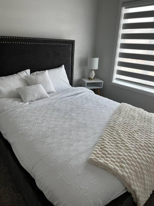 Brand New - Home Away From Home In Nw YYC Dış mekan fotoğraf